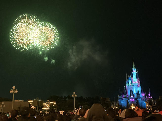ディズニー 花火.jpeg