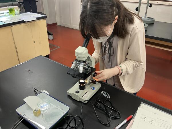 ５月20日（水）２年生物基礎