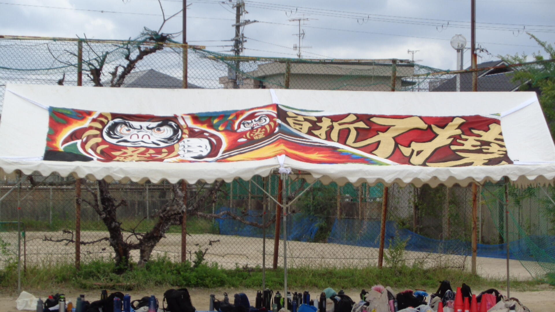 DSC01754.JPG