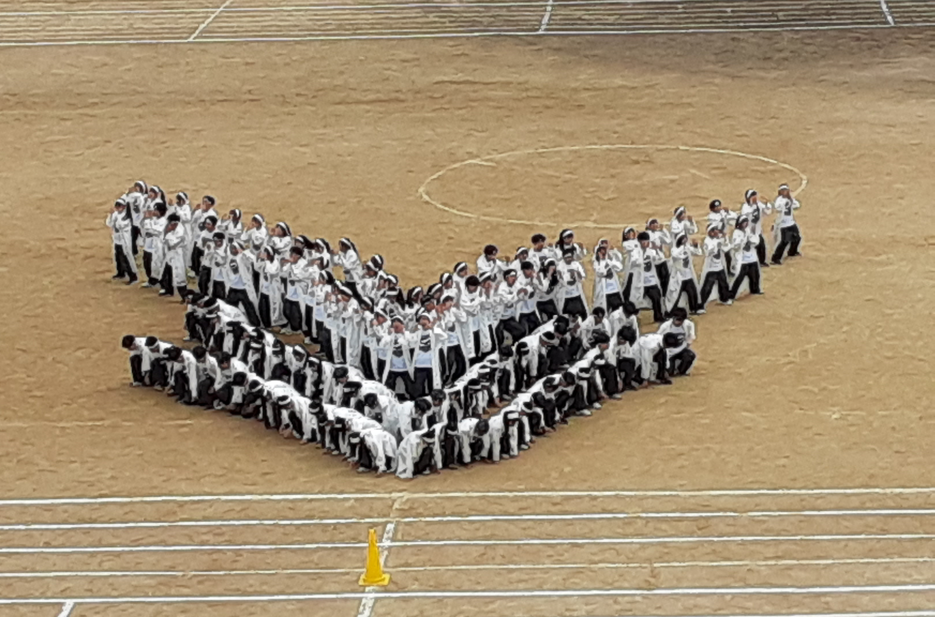 白応援合戦.png