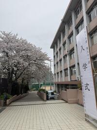 IMG_5156.jpeg