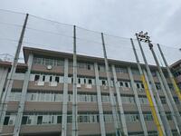 IMG_5418.jpeg