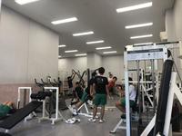 6月15日(土)