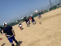 5月25日