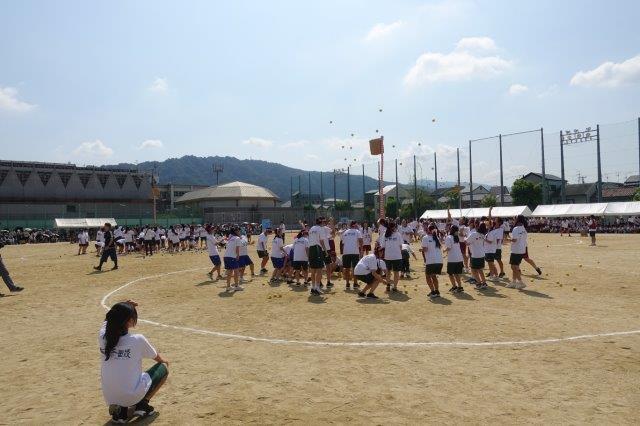 DSC09630.jpg