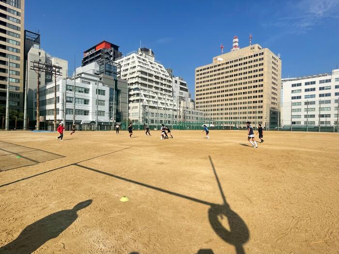 11月4日(土)