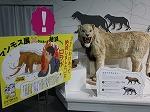 2日目(日本科学未来館)_190802_0054.jpg