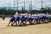 DSC02464.JPG