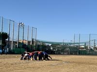 11月23日（土）