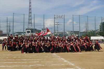 DSC03520.JPG