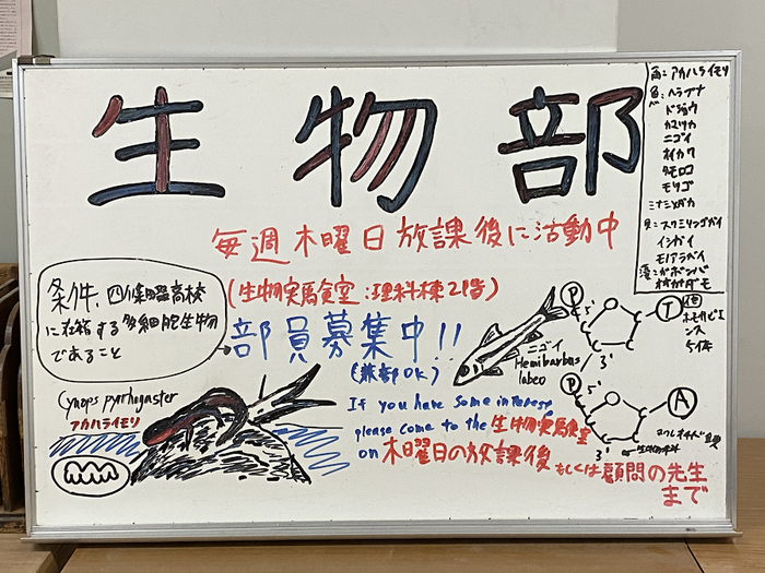 活動報告 ~桜舞い散る季節に~