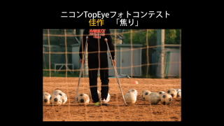 2020年度 写真部新歓ビデオ.mp4_snapshot_00.37_[2020.04.17_23.43.59].jpg