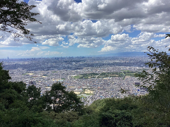 活動報告 飯盛山での生物観察編(2023年8月)