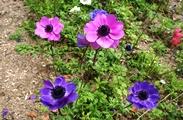 DSC01343.JPG