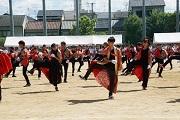 DSC02572.JPG