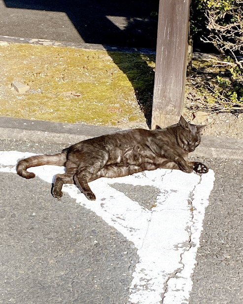 活動報告 ~修学旅行2日目編~