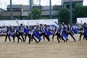DSC02519.JPG