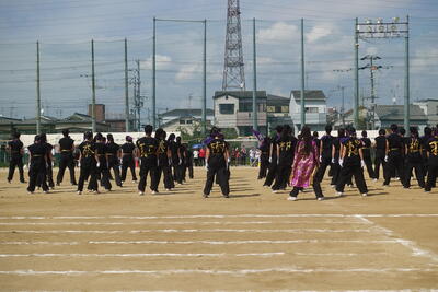 DSC03511.JPG