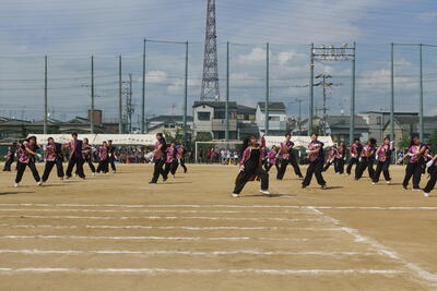 DSC03513.JPG