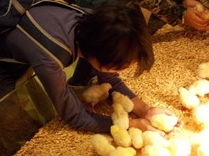 中1校外学習写真1.jpg