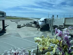 IMG_9681.jpeg