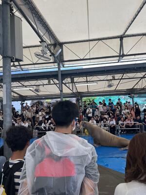 IMG_2927.jpeg