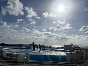 IMG_9721.jpeg
