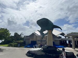 IMG_9708.jpeg