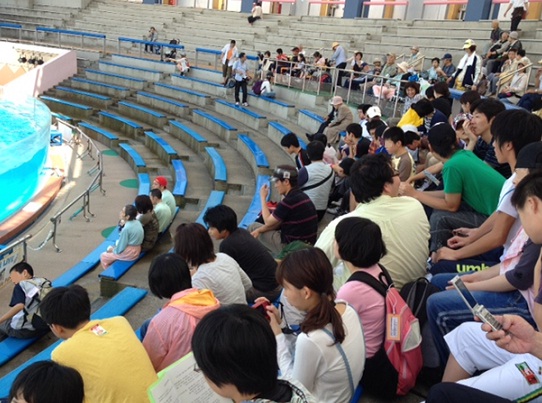 写真1.JPG