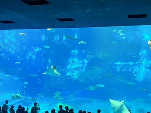 IMG_9710.jpeg