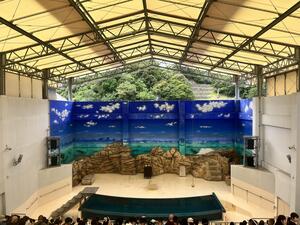 IMG_9773.jpeg