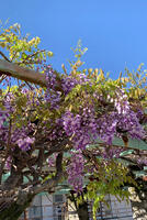IMG_2026-04-16-090731.jpg