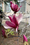 IMG_2026-03-26-145517.jpg