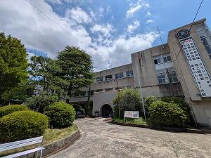 PXL_20260702_041106556.jpg