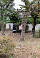 IMG_2025-11-06-094051.jpg