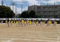 IMG_2025-10-24-185650.jpg