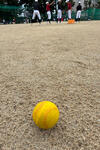 IMG_2026-07-29-144650.jpg