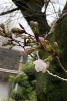 IMG_2026-03-23-172656.jpg