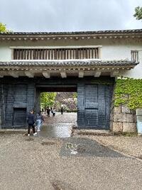 IMG_0499_compressed_8 - 谷太輔.jpeg