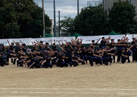 IMG_2025-10-24-185554.jpg