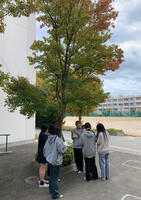 IMG_2025-11-06-094240.jpg