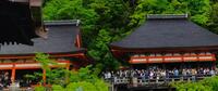 IMG_20260502_174716 - 2年5組02番泉本 悠希.jpg