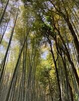 遠足2-7.jpg