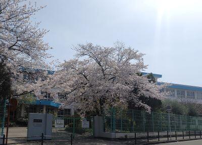 新年度のご挨拶と4月の風景