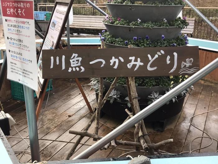 つかみどり①.jpg