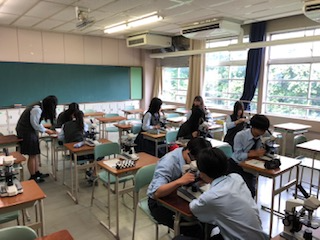 ダウンロード (85).png