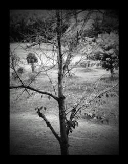 thumbnail_IMG_0275 (1).jpg