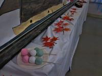 IMG_20201102_092801.jpg