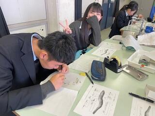 thumbnail_IMG_8044.jpg