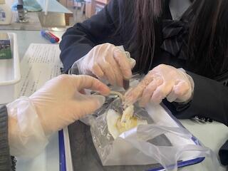 thumbnail_IMG_6831 (1).jpg
